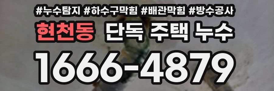 현천동 단독 주택 누수