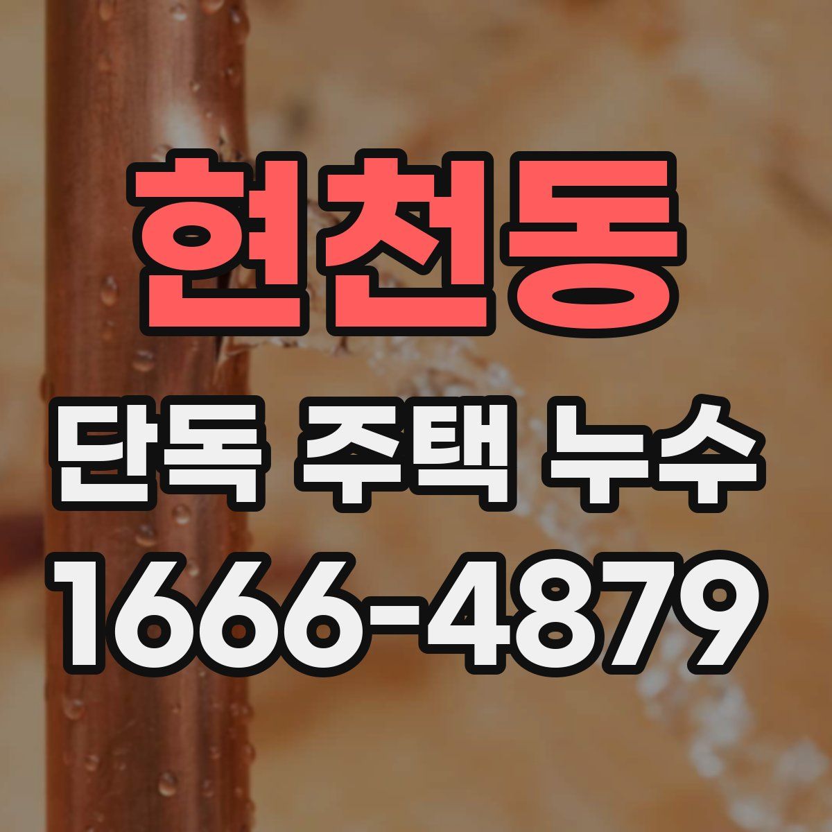 현천동 단독 주택 누수