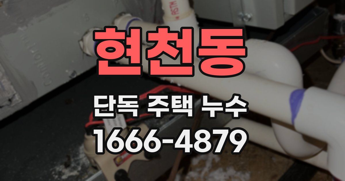 현천동 단독 주택 누수