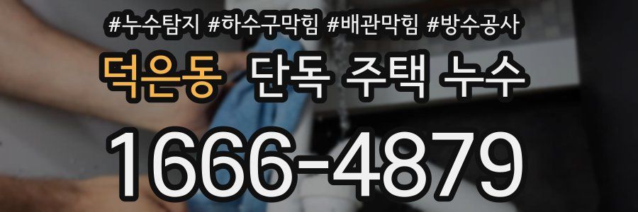 덕은동 단독 주택 누수