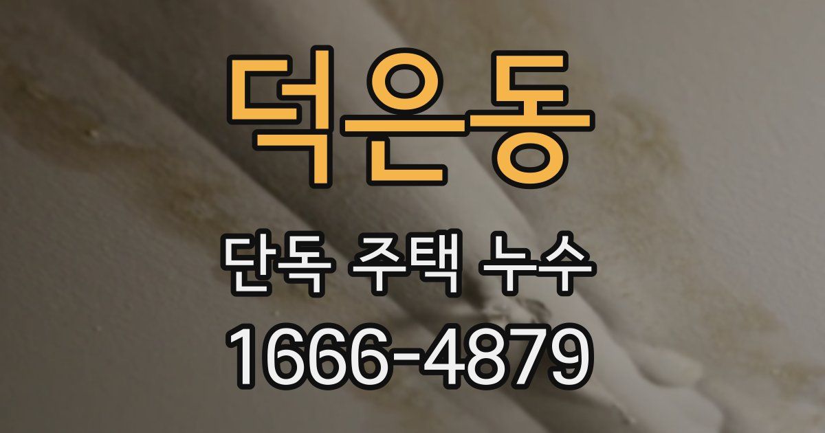 덕은동 단독 주택 누수