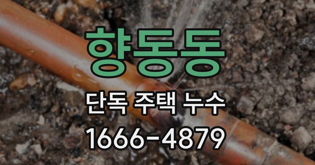 향동동 단독 주택 누수