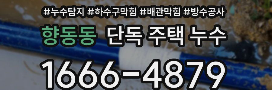 향동동 단독 주택 누수
