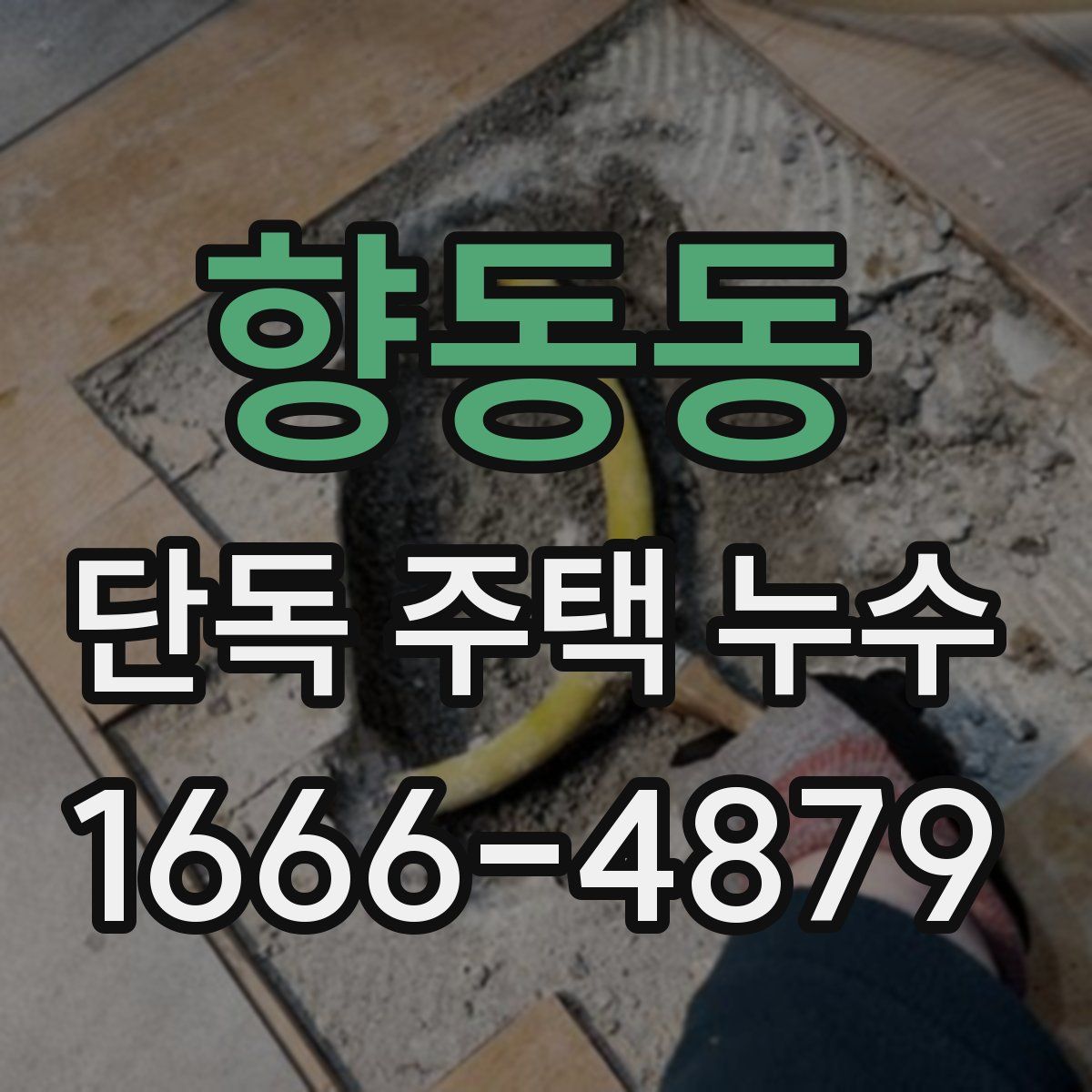 향동동 단독 주택 누수