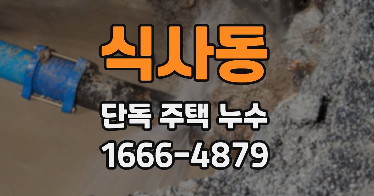 식사동 단독 주택 누수