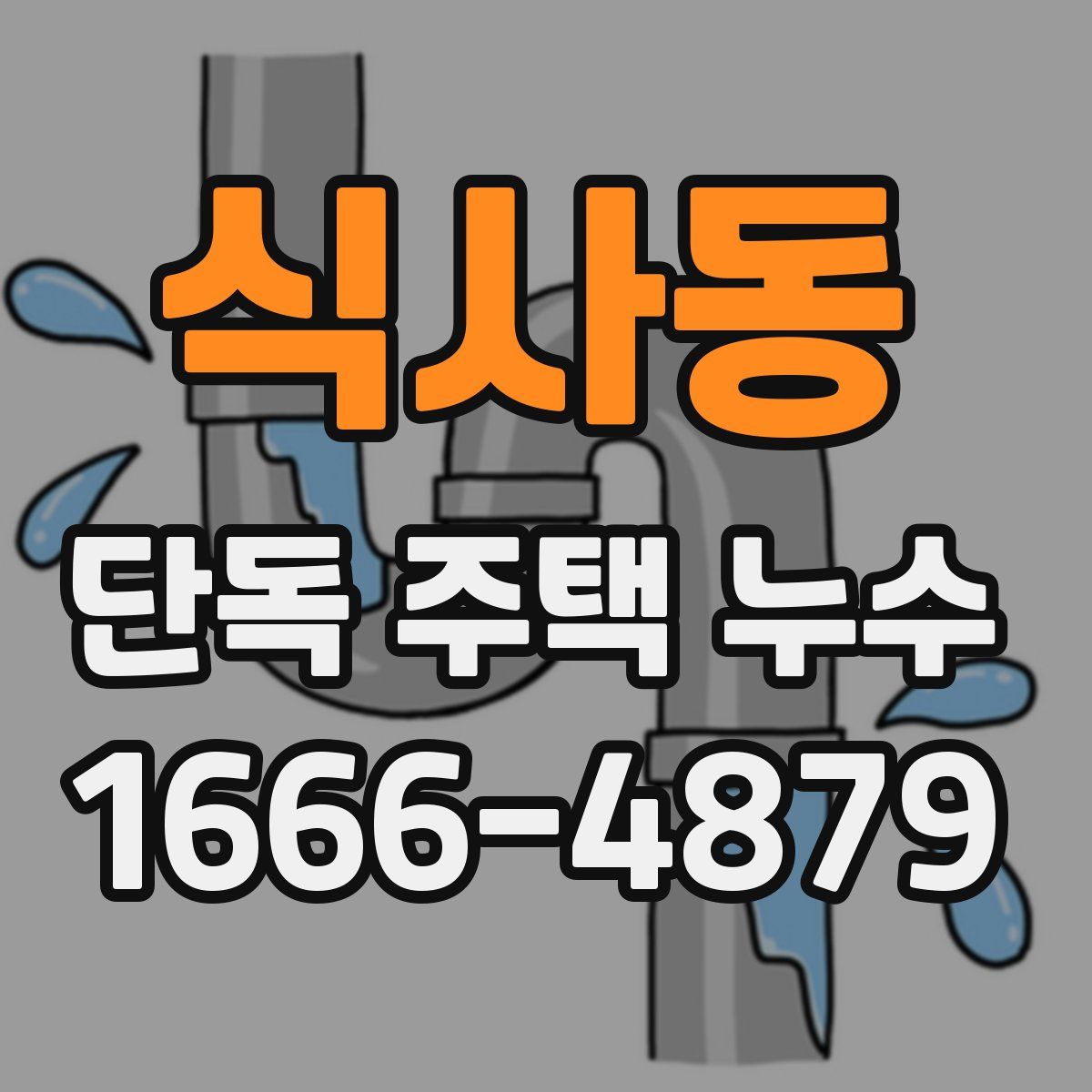 식사동 단독 주택 누수