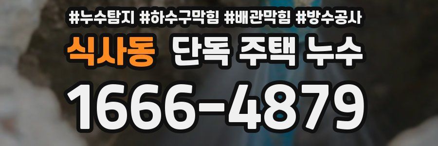 식사동 단독 주택 누수