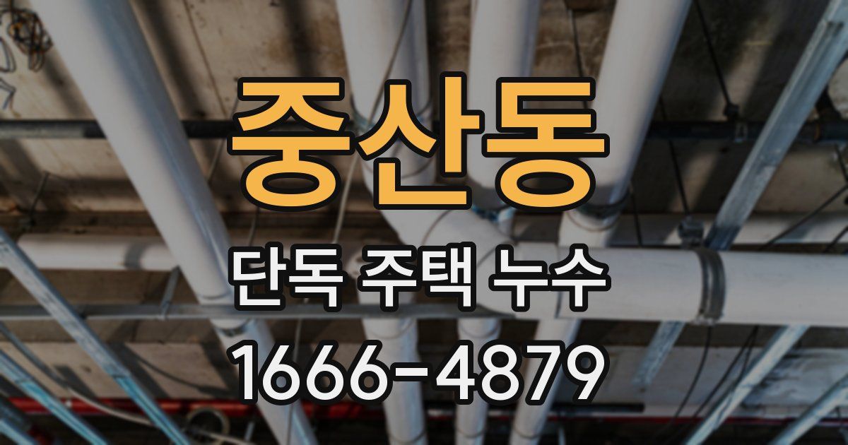 중산동 단독 주택 누수