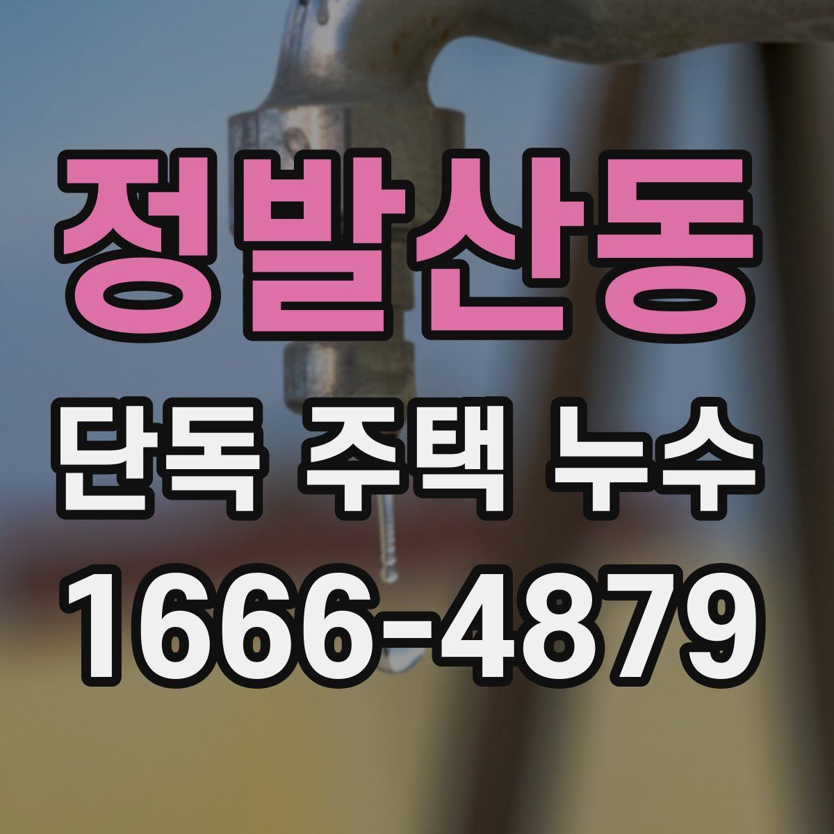정발산동 단독 주택 누수