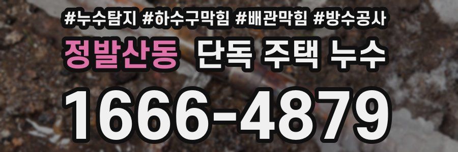정발산동 단독 주택 누수