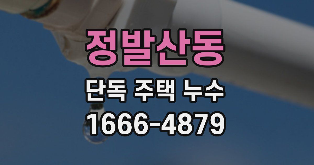 정발산동 단독 주택 누수