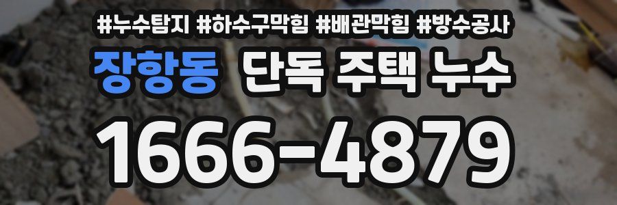 장항동 단독 주택 누수