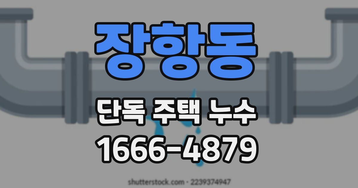 장항동 단독 주택 누수