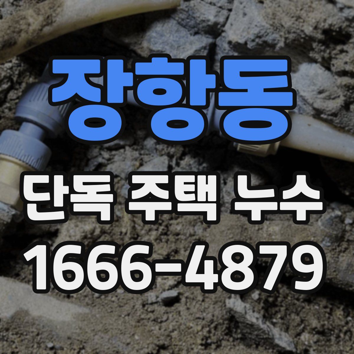 장항동 단독 주택 누수