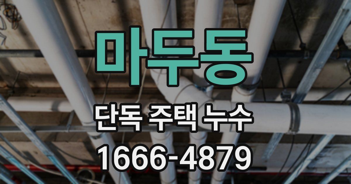 마두동 단독 주택 누수