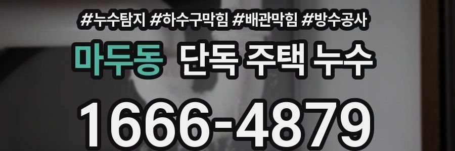 마두동 단독 주택 누수
