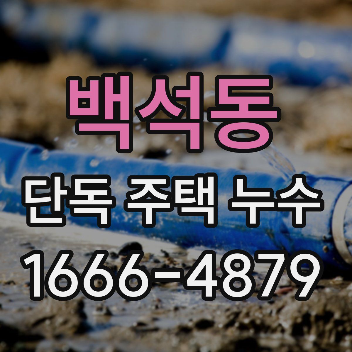백석동 단독 주택 누수