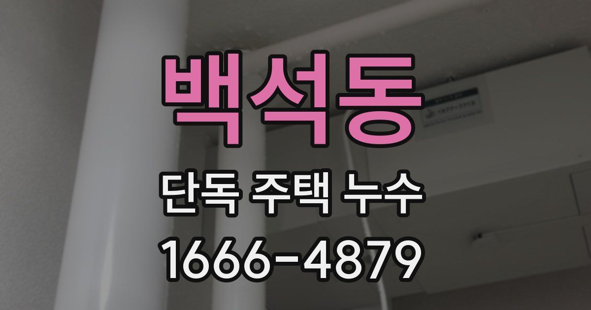 백석동 단독 주택 누수