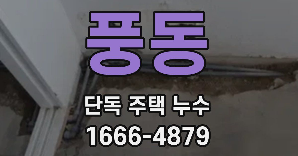 풍동 단독 주택 누수