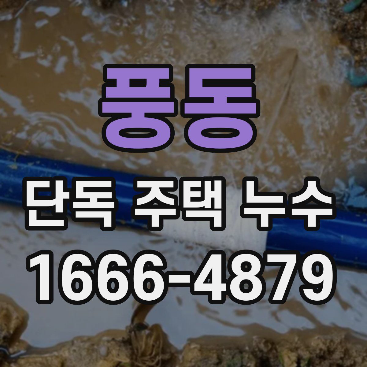 풍동 단독 주택 누수