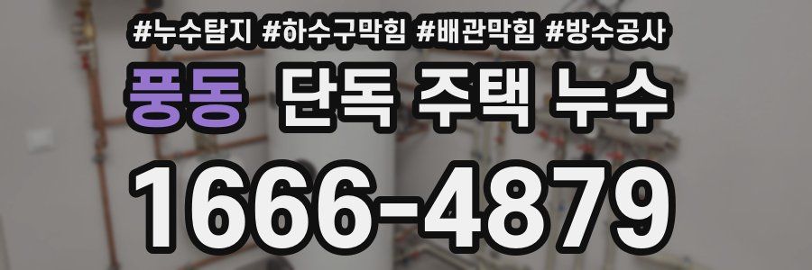 풍동 단독 주택 누수