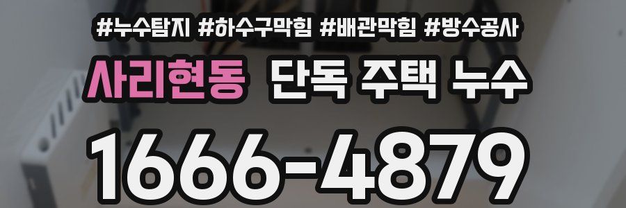 사리현동 단독 주택 누수