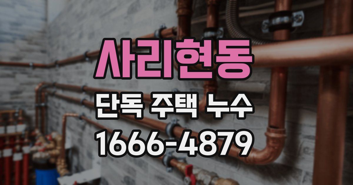사리현동 단독 주택 누수