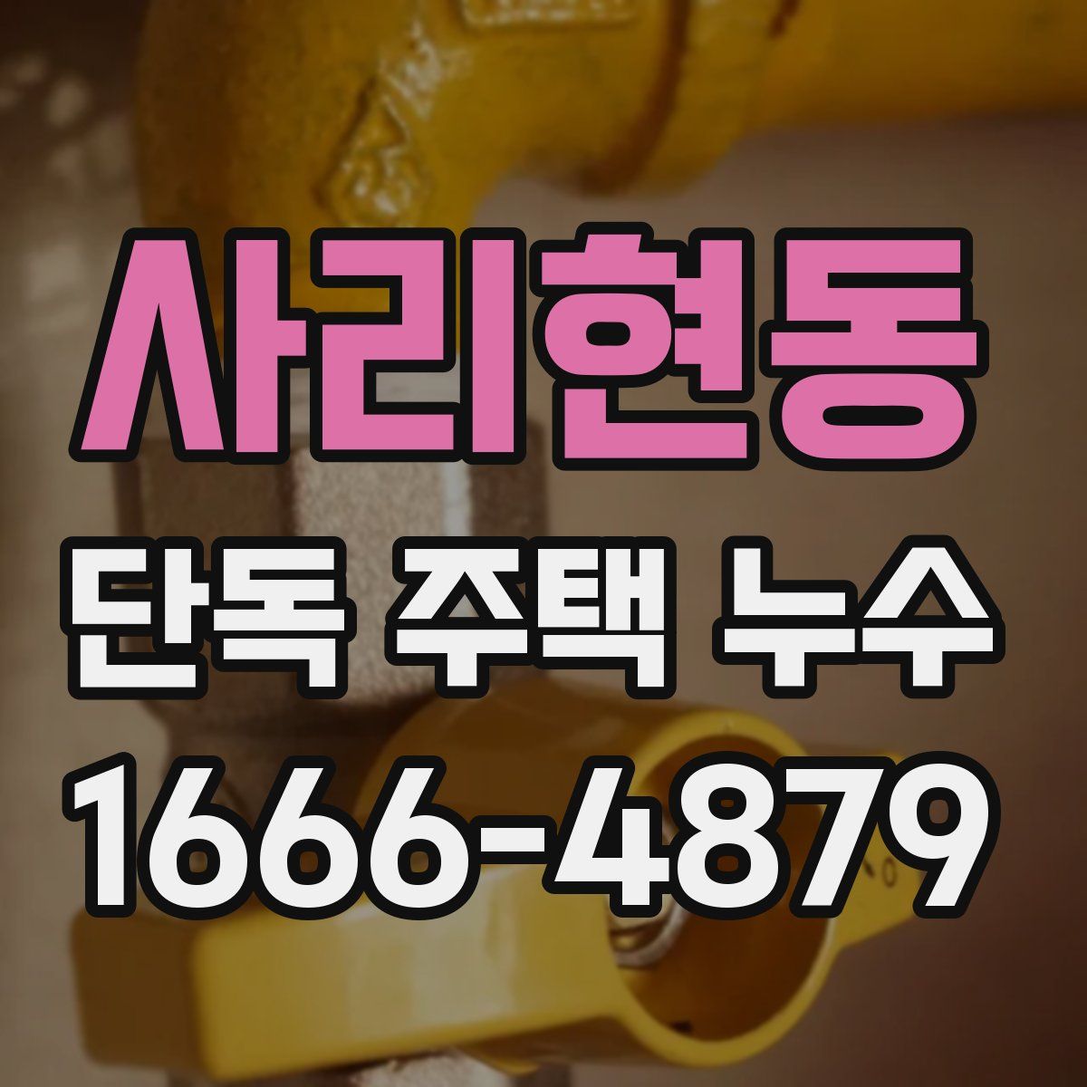 사리현동 단독 주택 누수