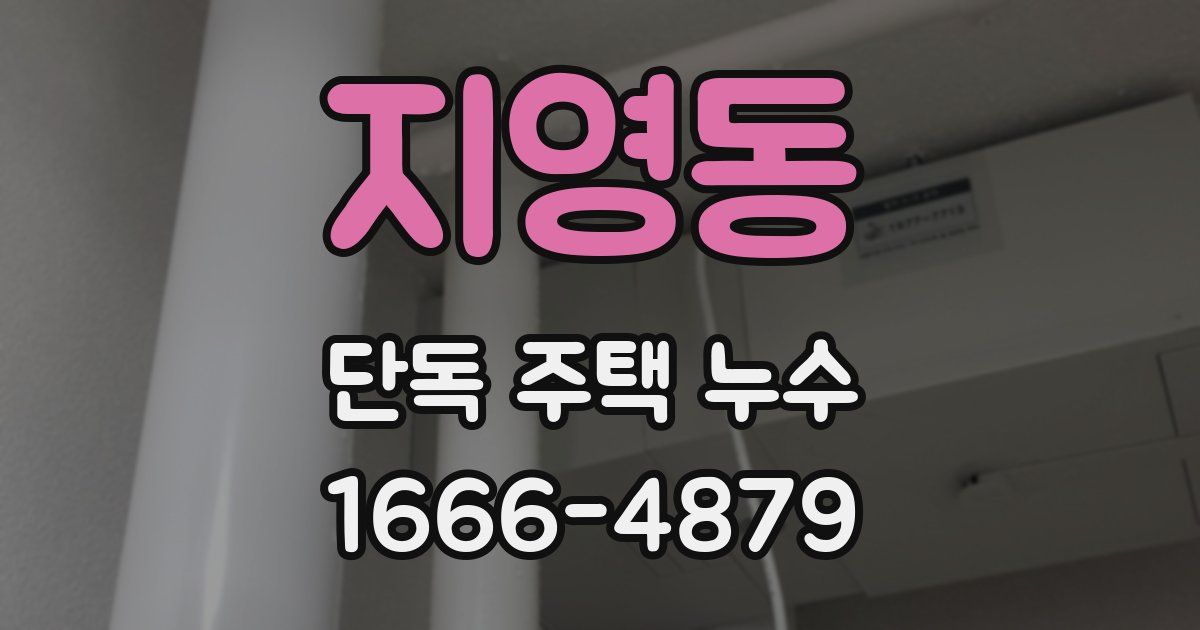 지영동 단독 주택 누수