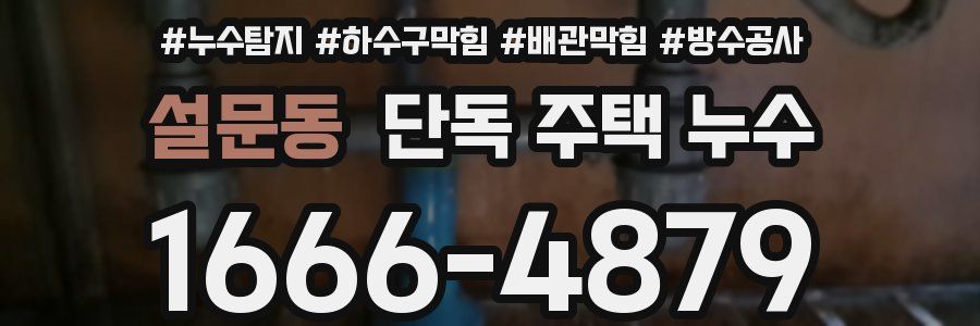 설문동 단독 주택 누수
