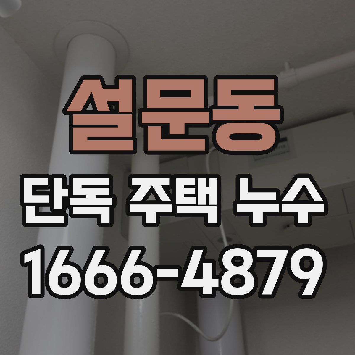 설문동 단독 주택 누수