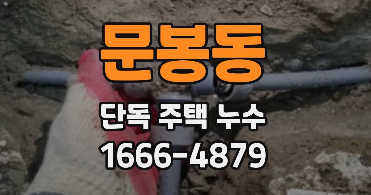 문봉동 단독 주택 누수