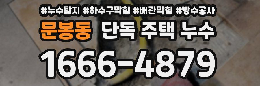문봉동 단독 주택 누수