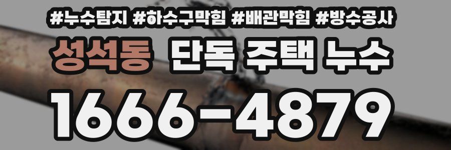 성석동 단독 주택 누수