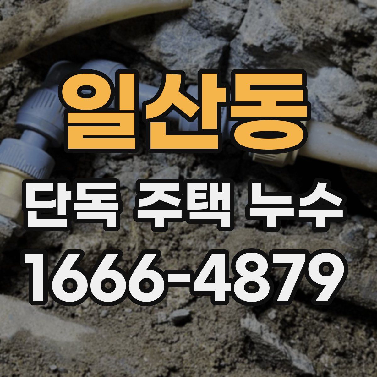 일산동 단독 주택 누수