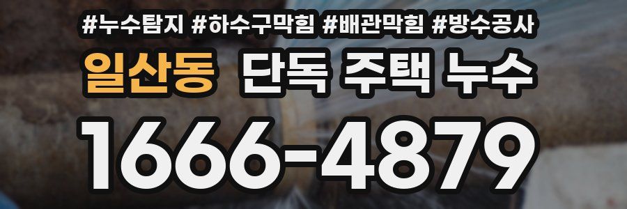 일산동 단독 주택 누수
