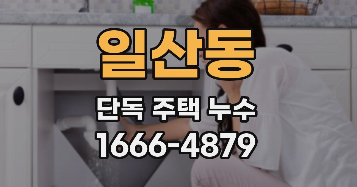 일산동 단독 주택 누수