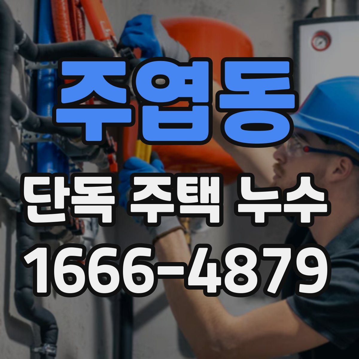 주엽동 단독 주택 누수