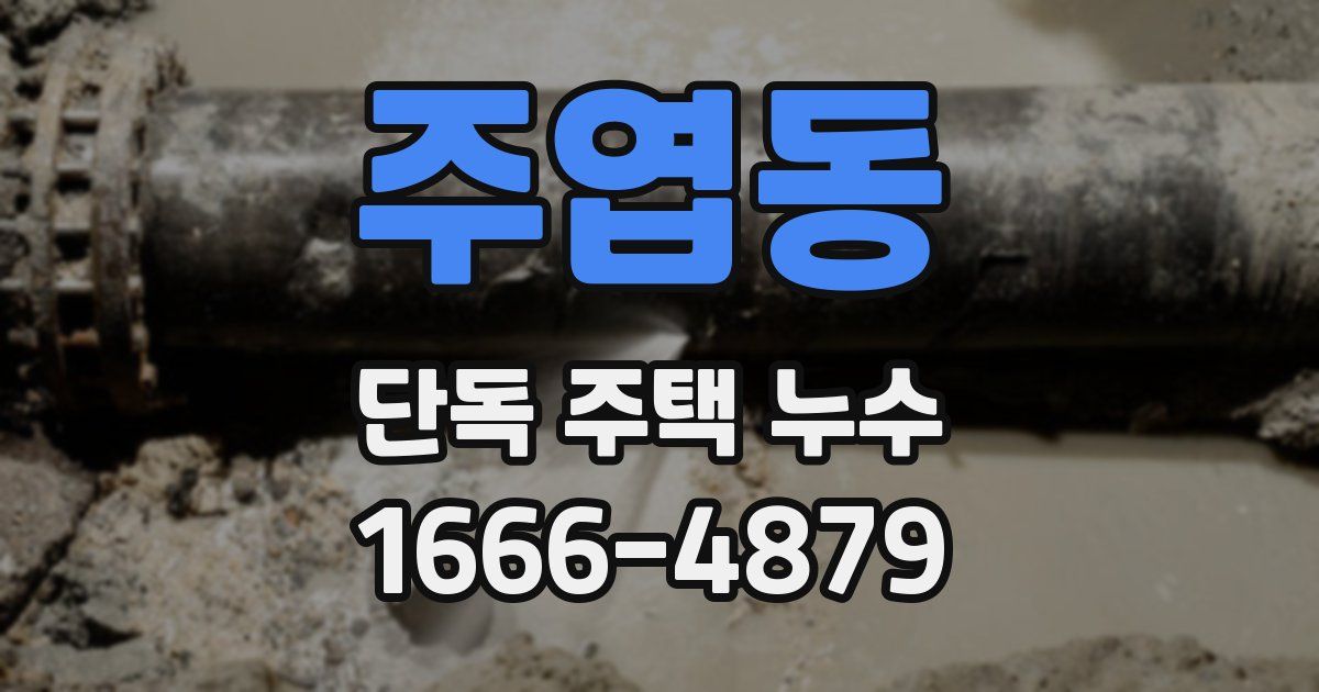 주엽동 단독 주택 누수