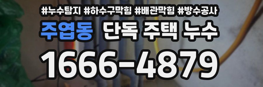 주엽동 단독 주택 누수