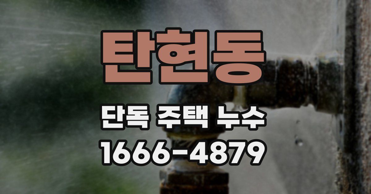 탄현동 단독 주택 누수