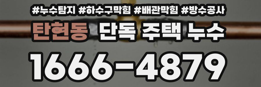 탄현동 단독 주택 누수