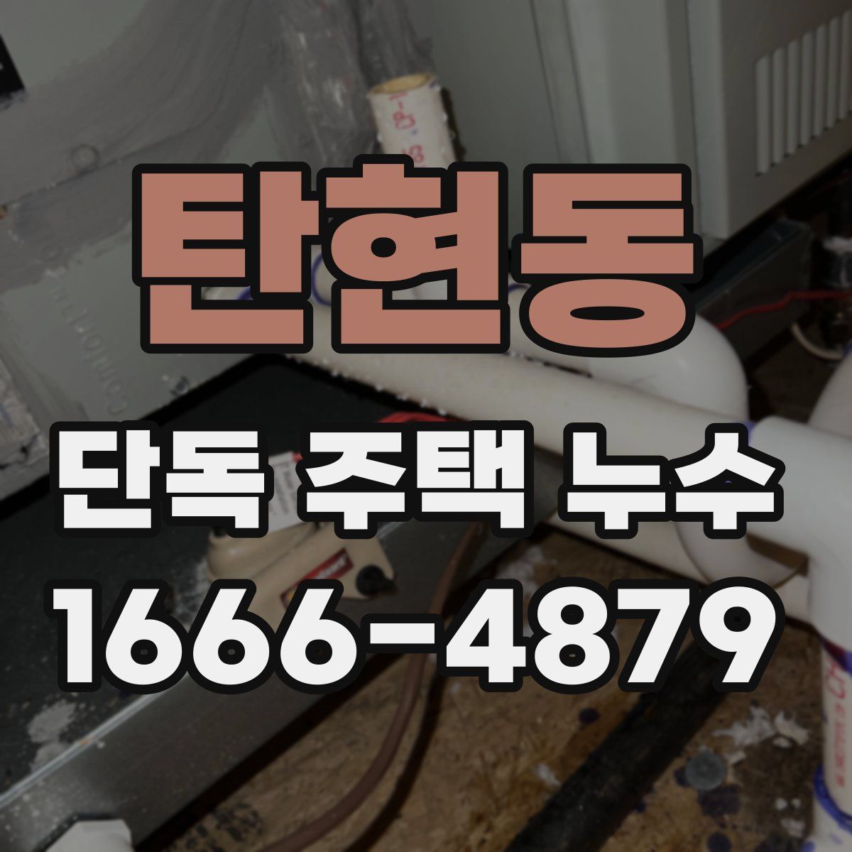 탄현동 단독 주택 누수