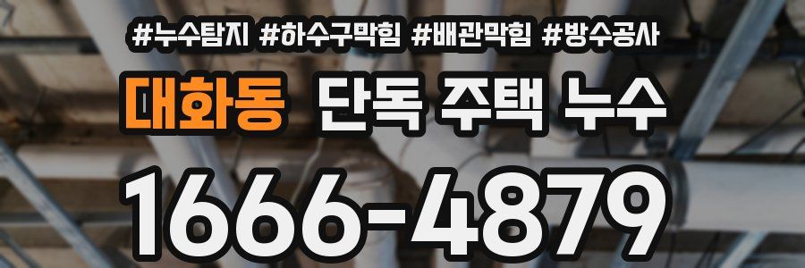대화동 단독 주택 누수