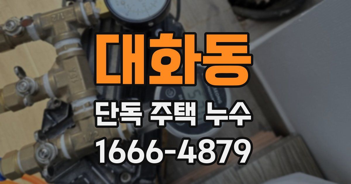 대화동 단독 주택 누수