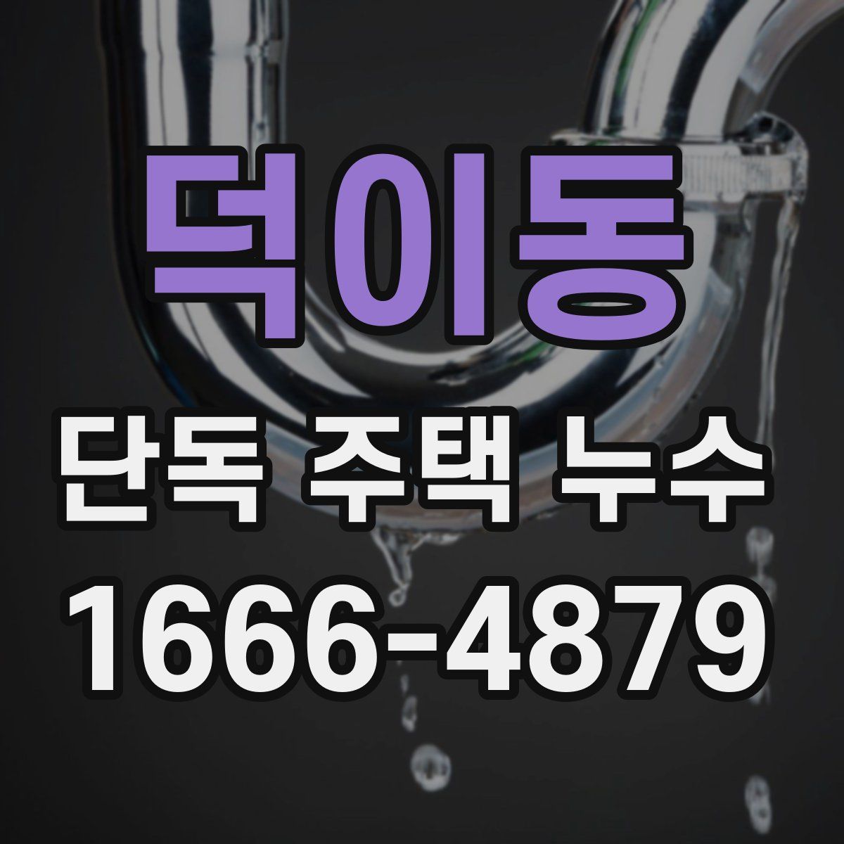 덕이동 단독 주택 누수