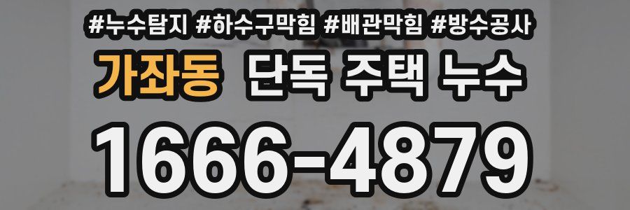 가좌동 단독 주택 누수