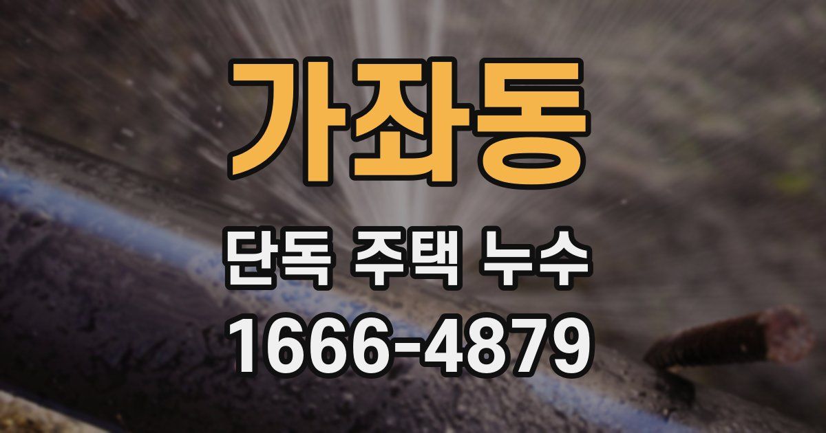 가좌동 단독 주택 누수