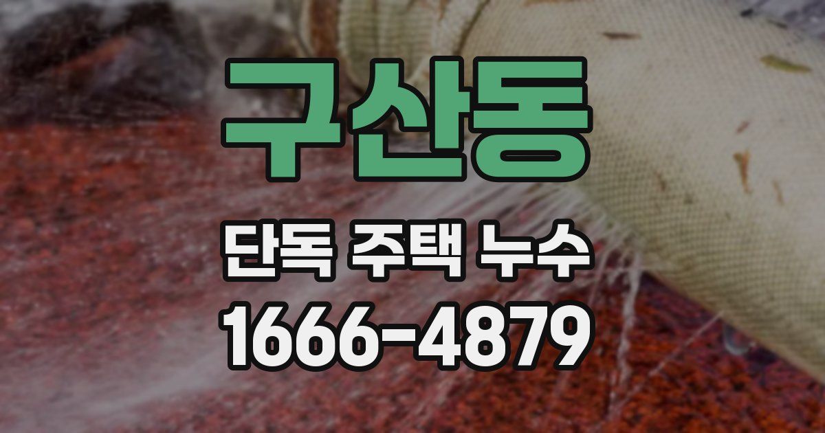 구산동 단독 주택 누수