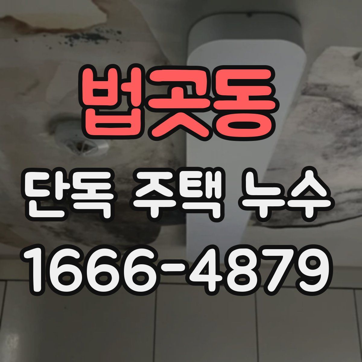 법곳동 단독 주택 누수